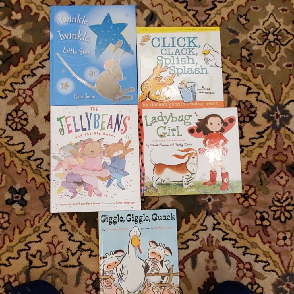 Hardback Book Bundle